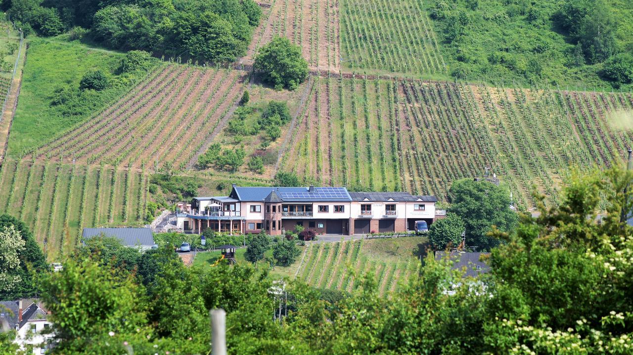 Urlaubsweingut Zecherhof Neef Exterior foto